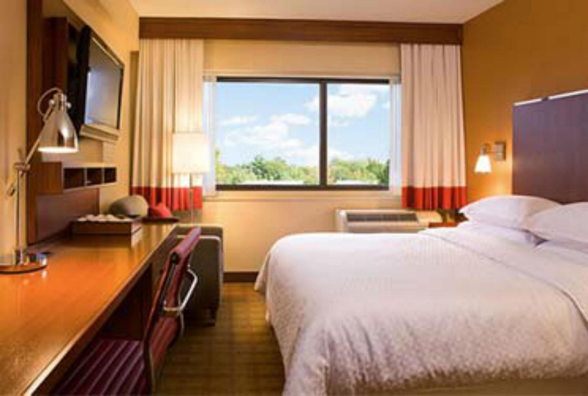 Four Points By Sheraton Punta Cana Værelse billede
